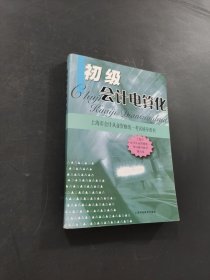 初级会计电算化