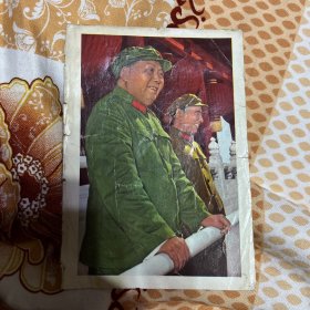 四寸正反面图片，毛林彩图。