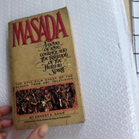 8 MASADA 马萨达考古英文版
