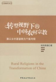 正版包邮 转型视野下的中国农村宗教（宗教学研究文库） 欧阳肃通 中国社会科学出版社