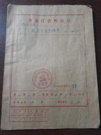 1985年鸡东县吉普车档案