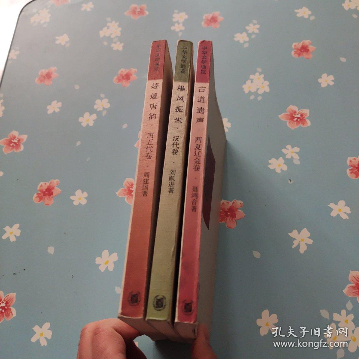中华文学通览；西夏辽金卷.汉代卷，唐五代卷【3册】