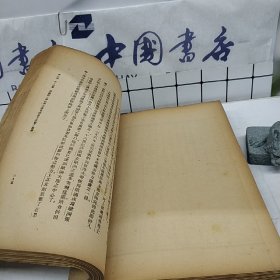 近代欧洲史