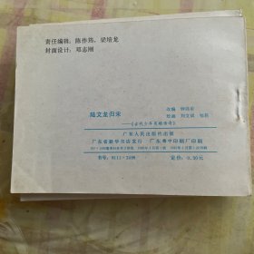 《古代少年英雄传奇》陆文龙归宋