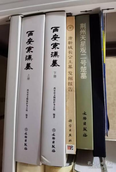 唐新城长公主墓发掘报告