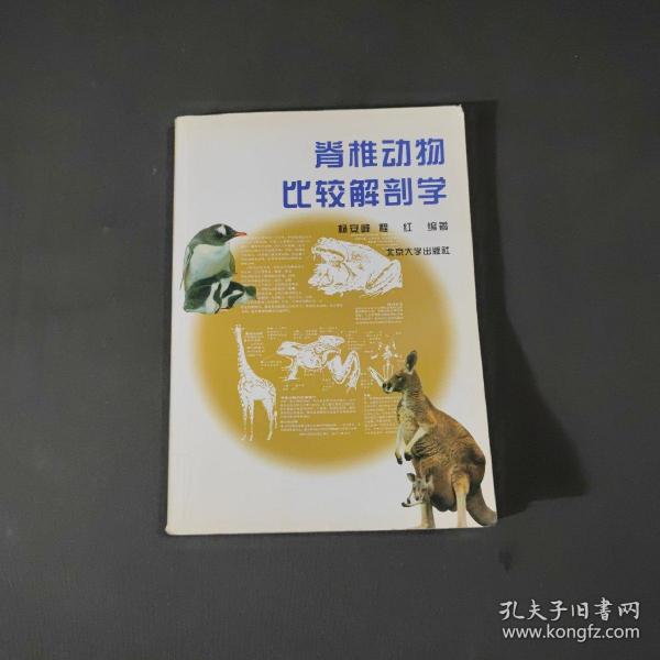 脊椎动物比较解剖学