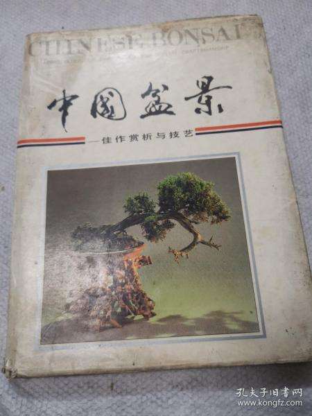 中国盆景佳作欣赏与技艺