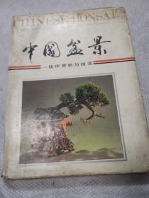 中国盆景佳作欣赏与技艺