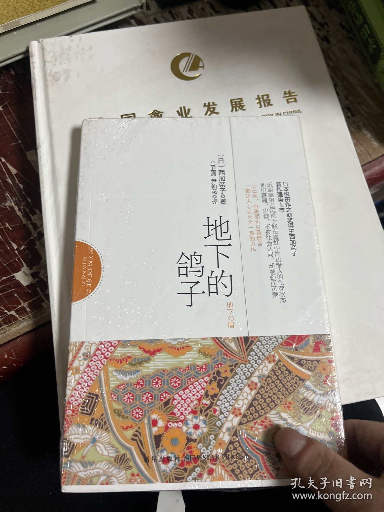 地下的鸽子