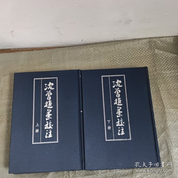 沈曾植集校注（全二冊）