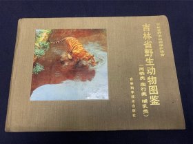 吉林省野生动物图鉴（两栖类 爬行类 哺乳类）