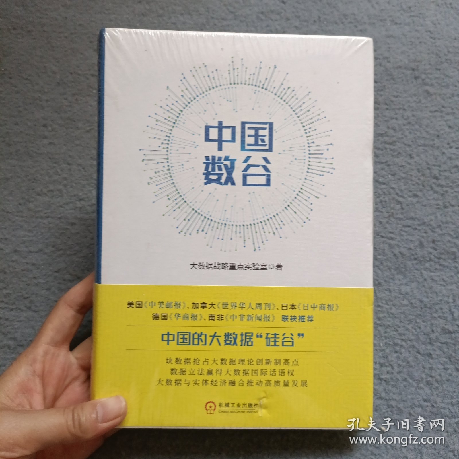中国数谷
