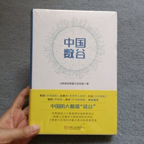 中国数谷