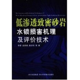 低渗透致密砂岩水锁损害机理及评价技术