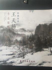 王天杨作品精选 彩墨世界
