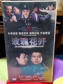 二十集电视连续剧《玫瑰花开》20碟VCD，正版品佳