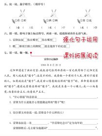 计时练：小学语文10分钟课课练（部编版）（二年级下）