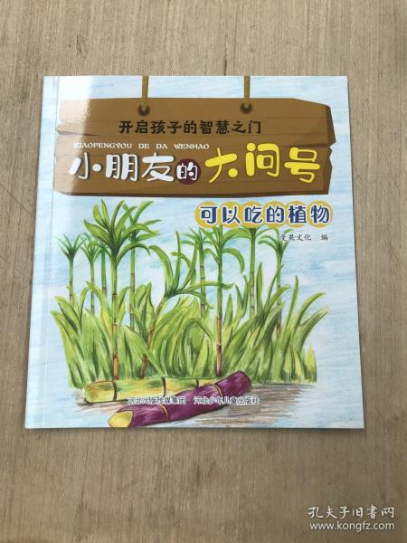 小朋友的大问号1+2(套装40册)，关注2-6岁幼儿求知探索的敏感期，满足幼儿求知欲的枕边书