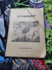 哈尔滨白猪育种资料汇编16开