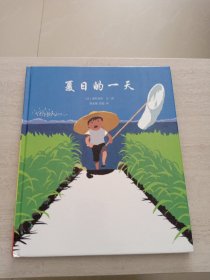 夏日的一天