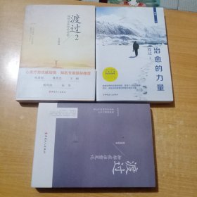 渡过 张进 全套3册 抑郁症治愈笔记 走出抑郁症 治愈的力量 走出抑郁症的书抑郁症症疗法抗抑郁读物抑郁症心理学咨询治疗书籍