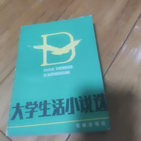 大学生活小说选