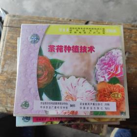 茶花种植技术（一VCD）全新未拆封