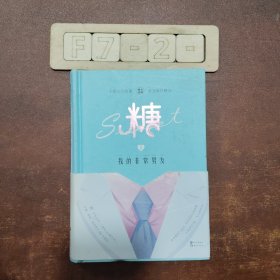 《糖衣炮弹2·我的非常男友》