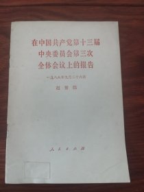 在中国共产党第十三届中央委员会第三次全体会议上的报告