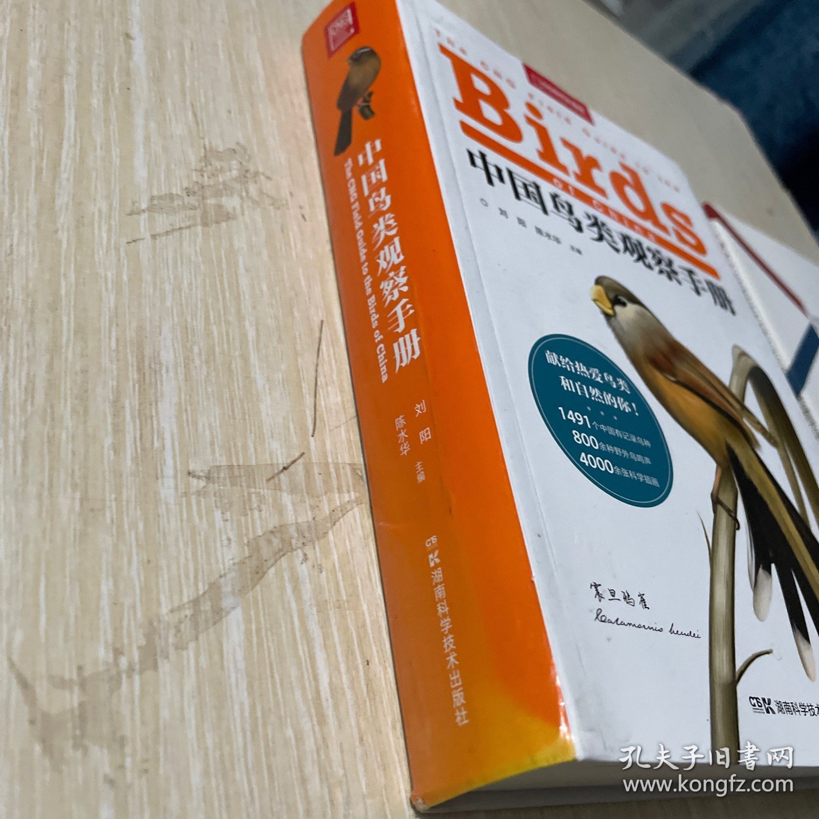 中国鸟类观察手册：赠送超写实大师级装帧画（鸳鸯！雕鸮！猎隼！双角犀鸟！）