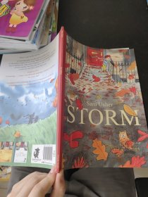 sam usher storm（外文书）