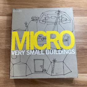 Micro