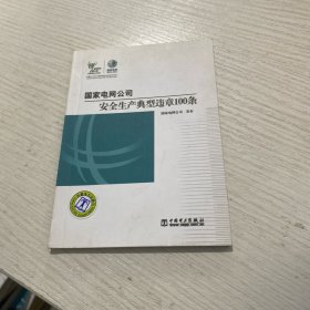 国家电网公司安全生产典型违章100条