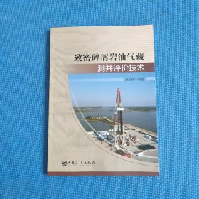 致密碎屑岩油气藏测井评价技术