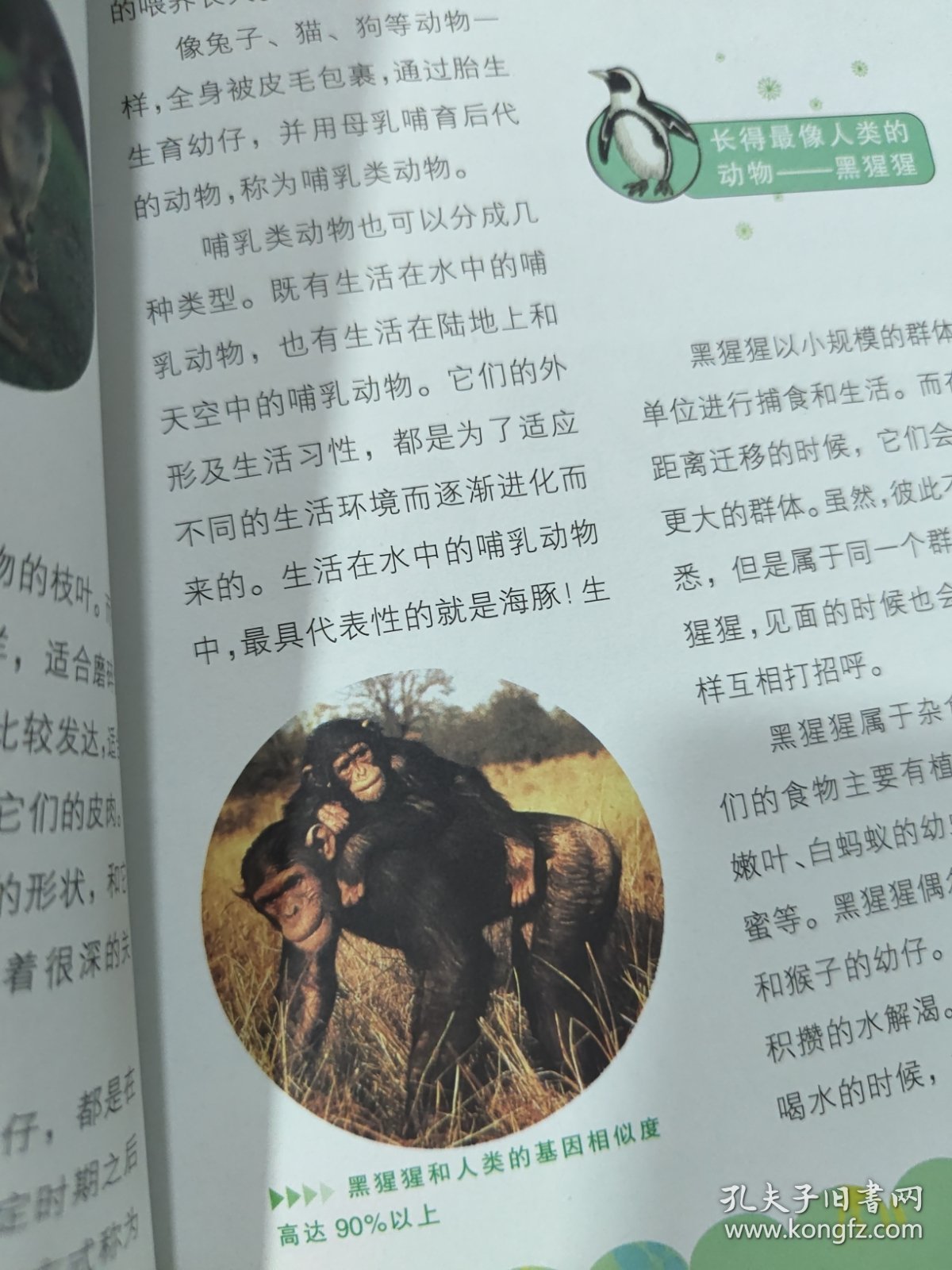 动物世界－小学生领先一步学科学