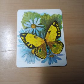 卡片–菊花蝴蝶（背面为《小小少年》词曲，上端有赠言）