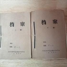 档案2份