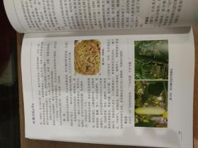 北部湾风味食趣/广西北部湾传统文化丛书-