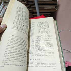 全国中草药汇编 上册