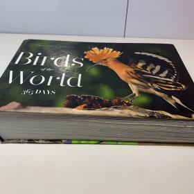 Birds of the World  365 Days