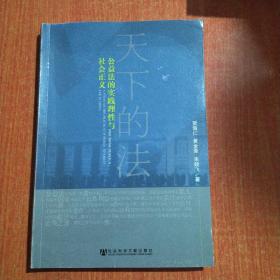 天下的法：公益法的实践理性与社会正义