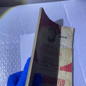 毛主席革命路线胜利万岁