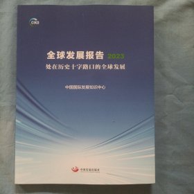 全球发展报告2023处在历史十字路口的全球发展。