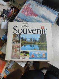 Souvenir Schweiz Suisse Switzerland Suiza【英文精装摄影图册】