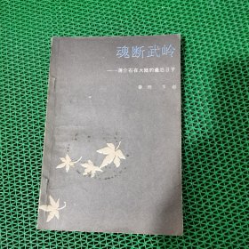 魂断武岭