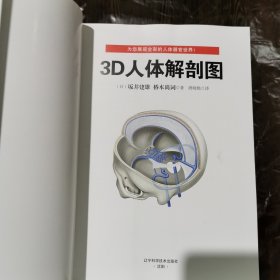 3D人体解剖图