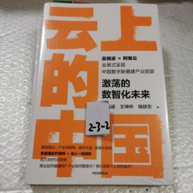 云上的中国：激荡的数智化未来