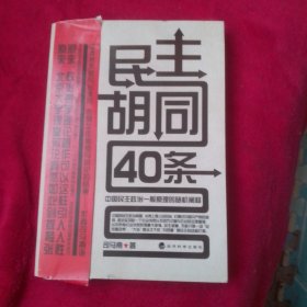 民主胡同40条：中国民主政治一般原理的随机阐释