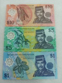 文莱1996年1元5元10元塑料钞，文莱塑料钞，全新品相，尾数两同号，带造币厂册子原包装，非常稀少，实物照片。