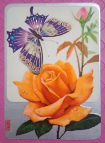 花与蝴蝶:年历片